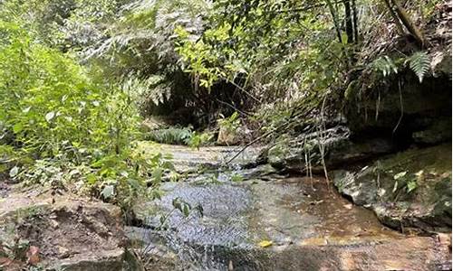 玉峰山森林公园步道_玉峰山森林公园步道多