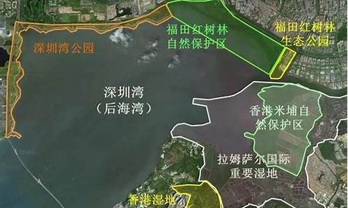 深圳红树林公园需要预约_深圳红树林公园需