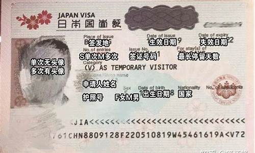 去日本自由行签证条件2024最新