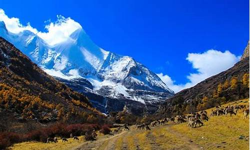 稻城亚丁自驾旅游最佳路线_稻城亚丁旅游攻略自驾需要多少钱