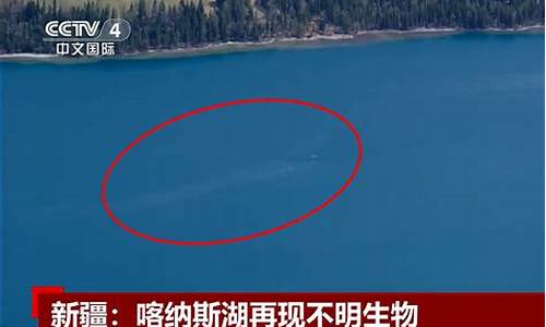 喀纳斯湖水怪完整版解密_喀纳斯湖水怪捕获现场